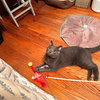 Rocket Man - Photo 5