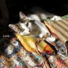 Josie & Luna - Photo 6