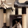 Josie & Luna - Photo 7