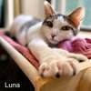 Josie & Luna - Photo 2