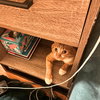 Rubberband Man - Photo 4
