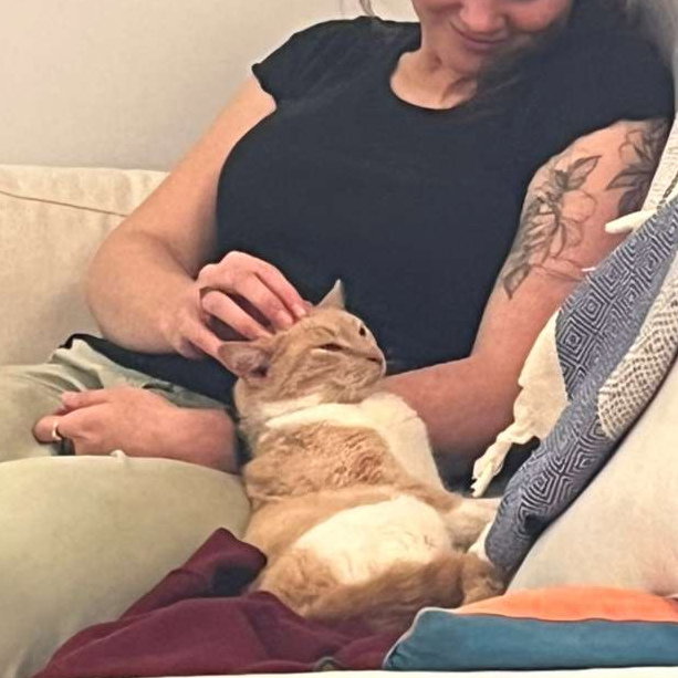 Ritz Carlton - Brooklyn Cat Cafe