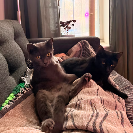 Obie & Slinky Image