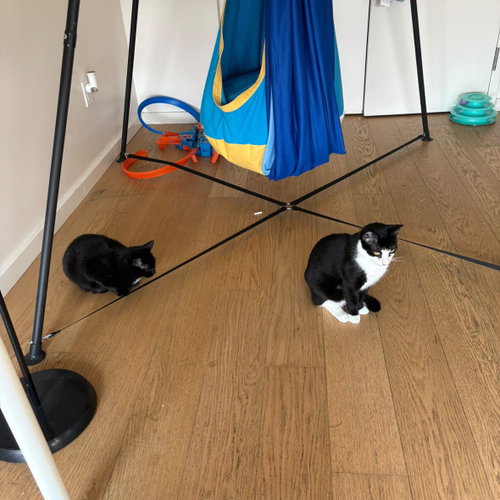 Photo 4 of Cruz