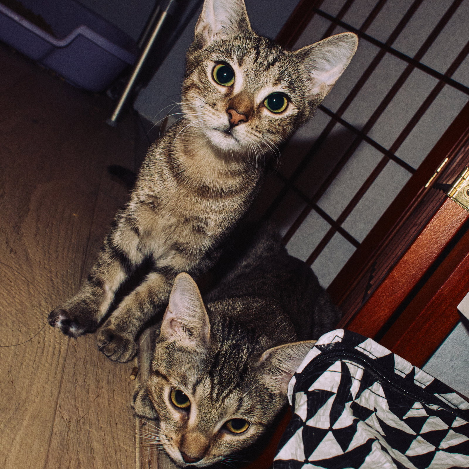 Action & Jackson, photo 5