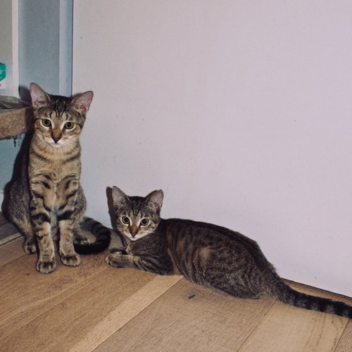 Photo 4 of Action & Jackson