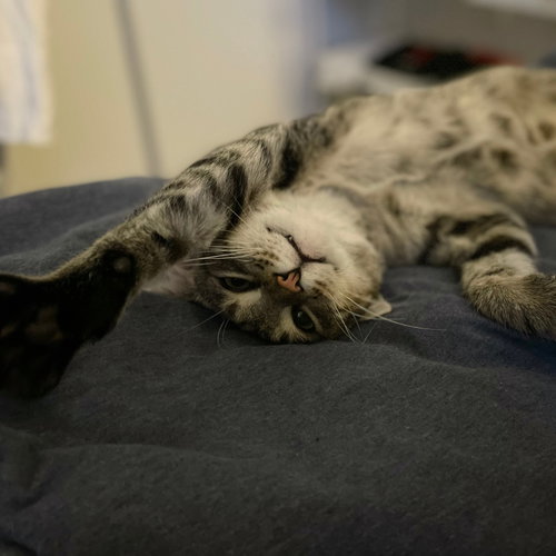 Meep photo 3
