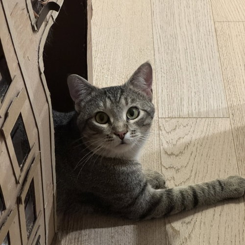 Meep photo 6