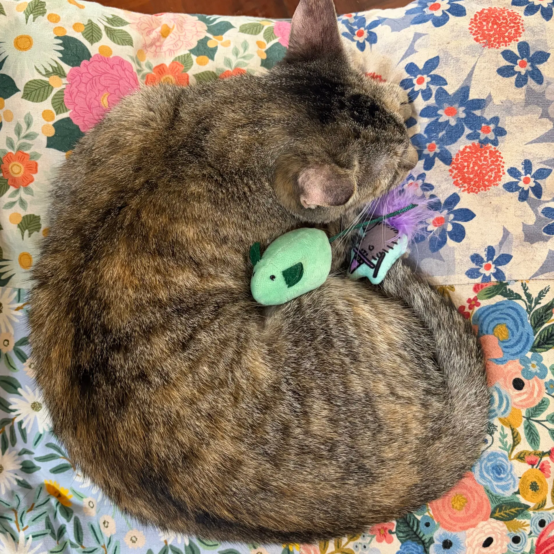 Luelle image 4