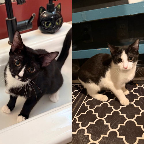 Photo 2 of Captain Crunch & Lucky Charm