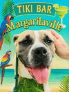 adoptable Dog in  named Junebug