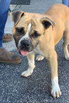 Junebug - Photo 11