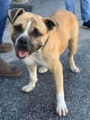 Junebug - Photo 4