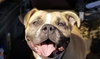 Junebug - Photo 10