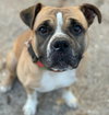 Junebug - Photo 9