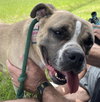 Junebug - Photo 7