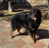 Apollo - Photo 1