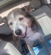 Patch - Photo 22