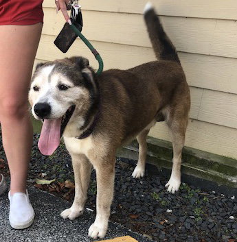Patch, photo 23