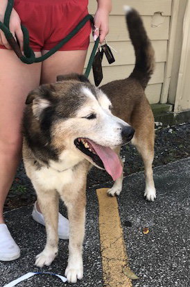 Patch, photo 24