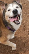 Patch - Photo 15