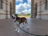 Patch - Photo 12