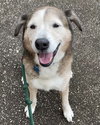 Patch - Photo 5