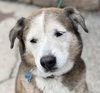 Patch - Photo 7