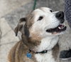 Patch - Photo 8