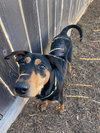 Madeline - Photo 20