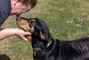 Madeline - Photo 13