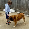 Sweet Pea - Photo 13