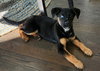 Zima - Photo 21