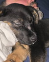 Zima - Photo 23
