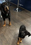 Zima - Photo 24