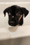 Zima - Photo 22