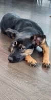 Zima - Photo 16