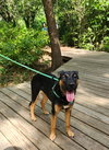 Zima - Photo 14