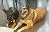 Zima - Photo 17