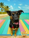 Zima - Photo 15