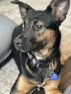 Zima - Photo 8
