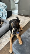 Zima - Photo 10