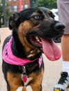 Zima - Photo 5