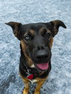 Zima - Photo 6