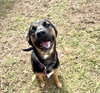 Zima - Photo 2