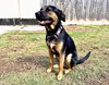 Zima - Photo 4