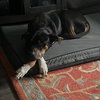 Duke - Photo 5
