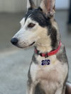Hattie - Photo 3