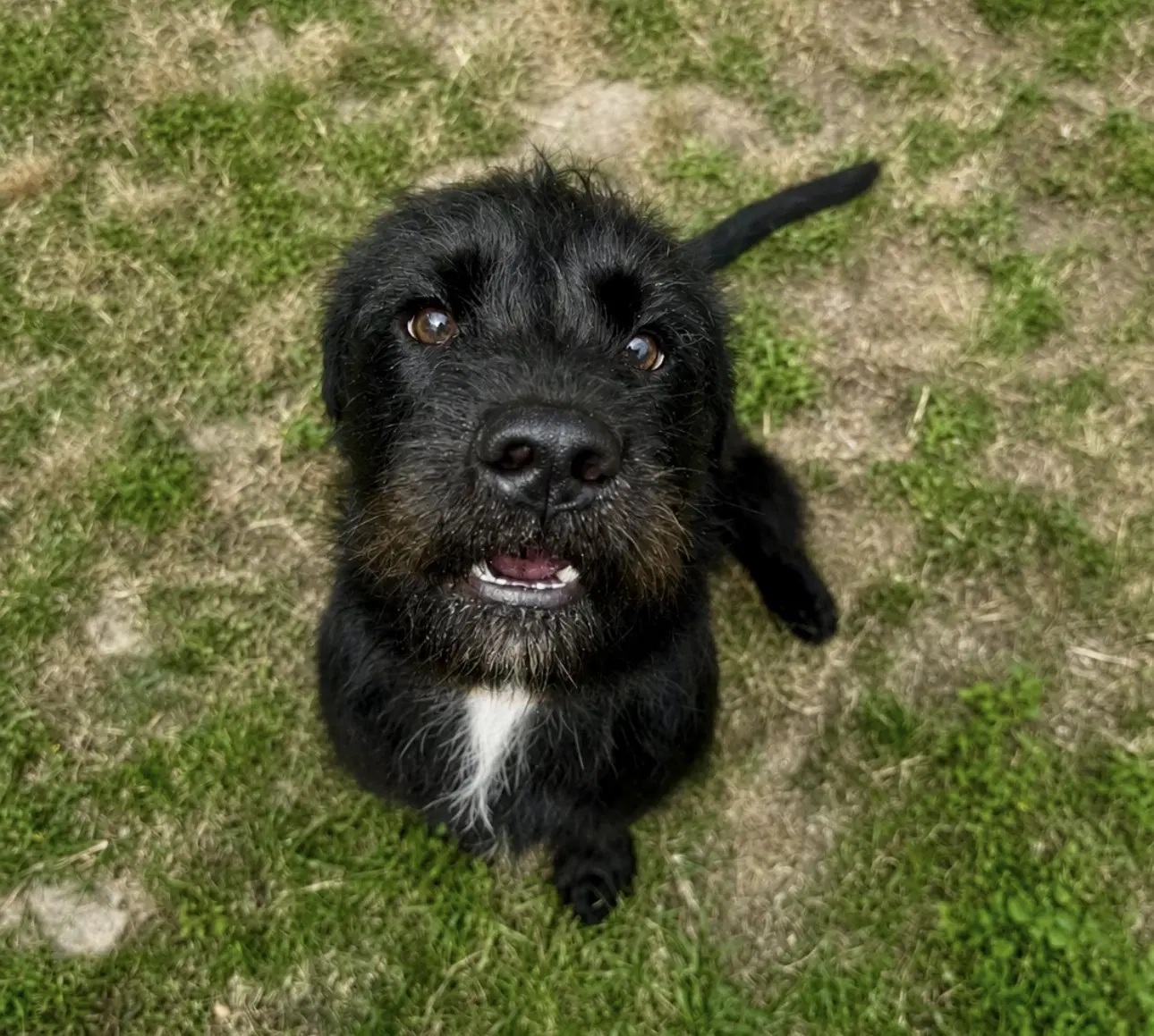 Fletch image 2