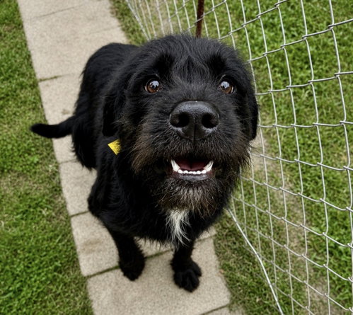 Fletch photo 3